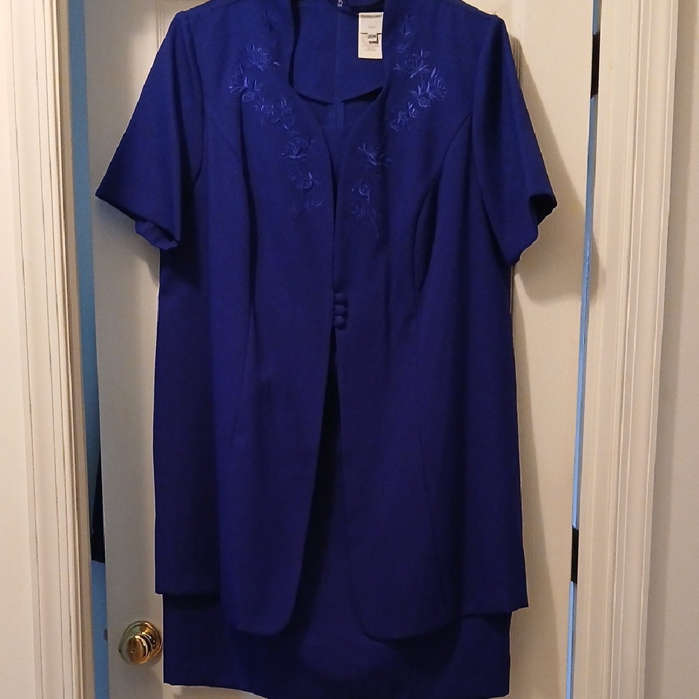 Express Royal Blue Garment